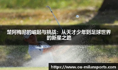 米兰体育官网